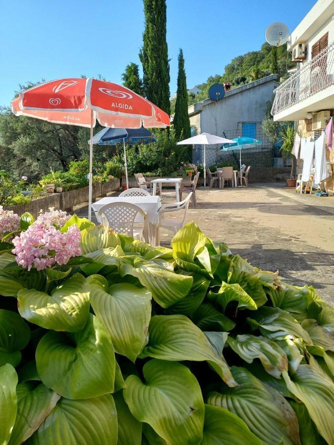 Apartments Andjus Sveti Stefan Dış mekan fotoğraf